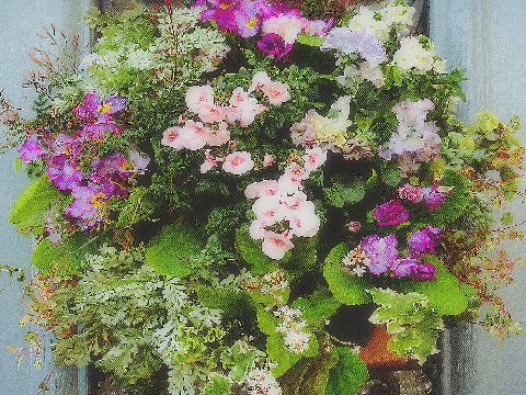 ガーデニング初心者にもおすすめ　ハンギングバスケット講座