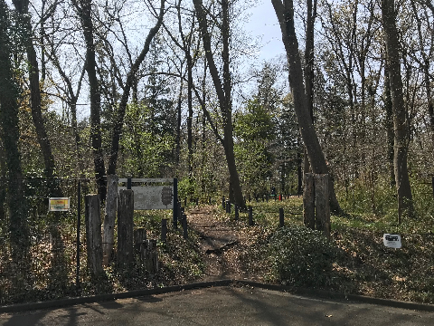 東林ふれあいの森で自然観察を楽しもう